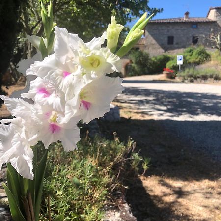 Agriturismo Malpensata Radda in Chianti Luaran gambar