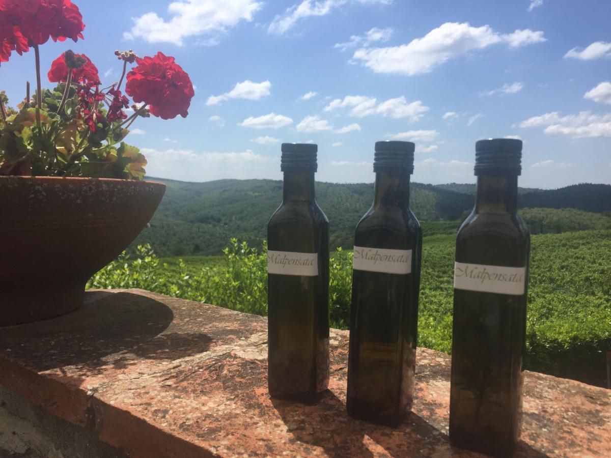 Agriturismo Malpensata Radda in Chianti Luaran gambar