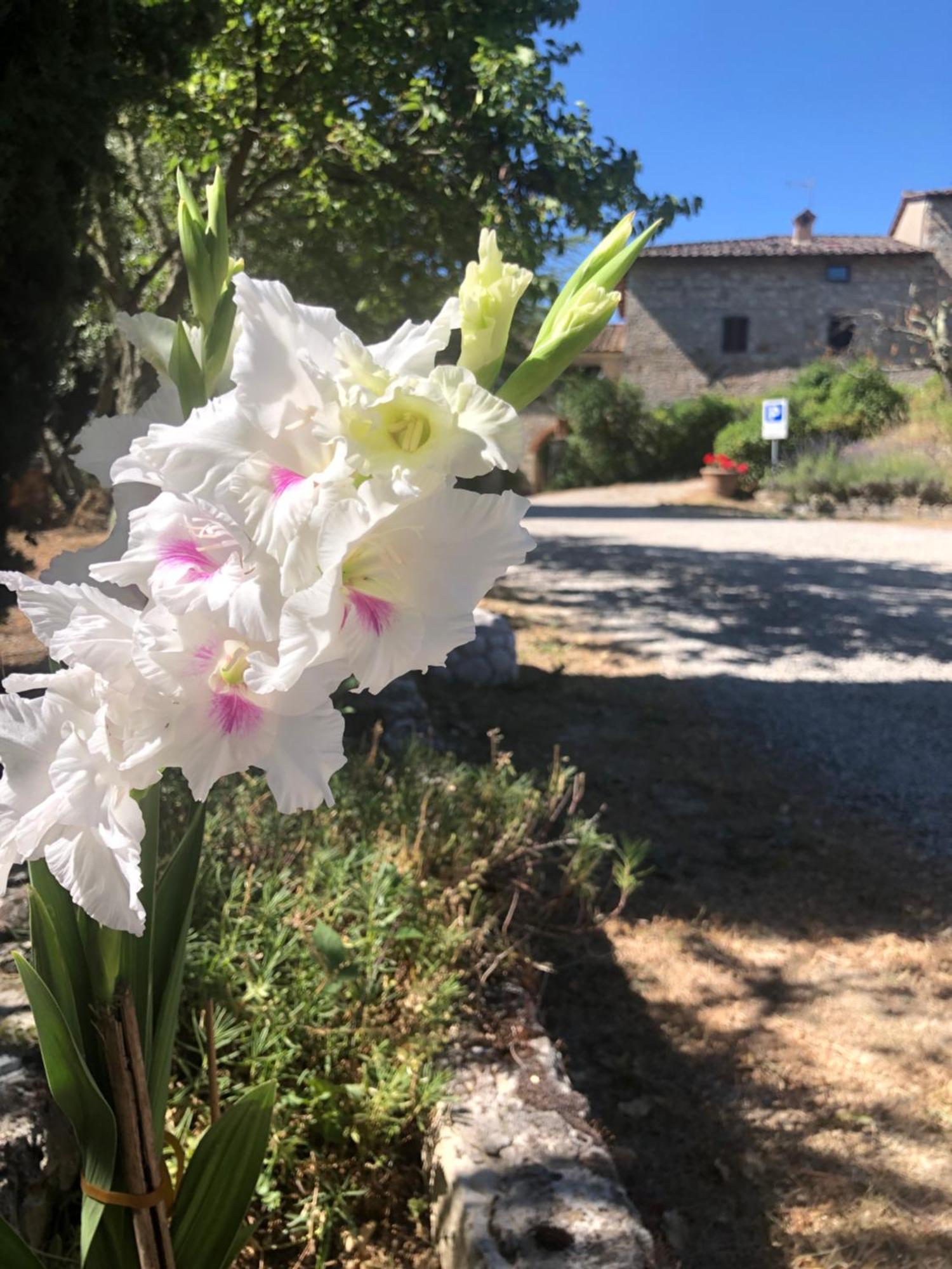 Agriturismo Malpensata Radda in Chianti Luaran gambar